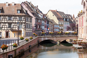 Traitement punaises de lit Colmar